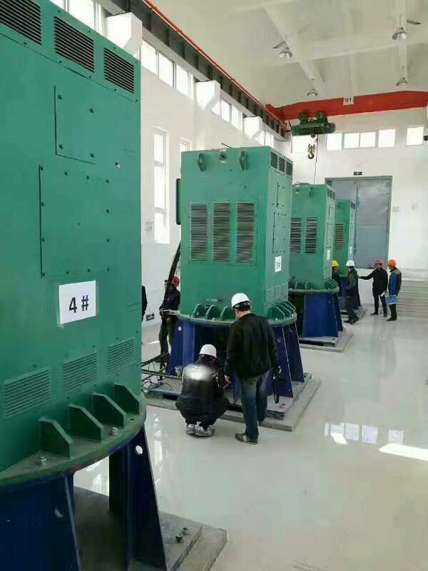 东乌珠穆沁某污水处理厂使用我厂的立式高压电机安装现场