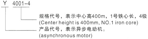 西安泰富西玛Y系列(H355-1000)高压东乌珠穆沁三相异步电机型号说明